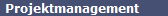 Projektmanagement